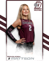DHS_VAR_VB_IND2-17