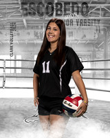 CHS_JV_VB_IND1-55