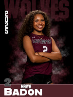 DHS_VB_JV_Ind1-18
