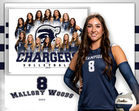 BHS_VAR_VB_MM-7