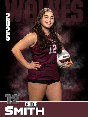 DHS_VB_JV_Ind1-28