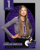 WHS_JV_VB_IND1-15