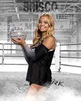 CHS_VAR_VB_IND1-95