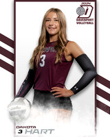 DHS_VAR_VB_IND2-48