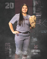 DHS_SB_V_Ind2-115