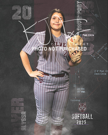 DHS_SB_V_Ind2-115