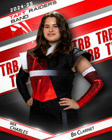 THSB_BBC_IND1-03
