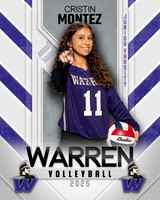 WHS_VB_JV_Ind1-50