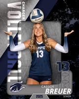 BHS_VB_Var_Ind1-101