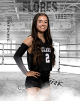CHS_VAR_VB_IND1-22