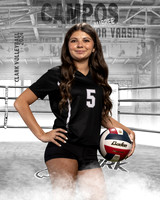 CHS_JV_VB_IND1-35