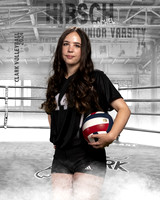 CHS_JV_VB_IND1-58
