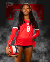 THS_VAR_VB_IND1-41