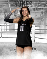 CHS_VAR_VB_IND1-91