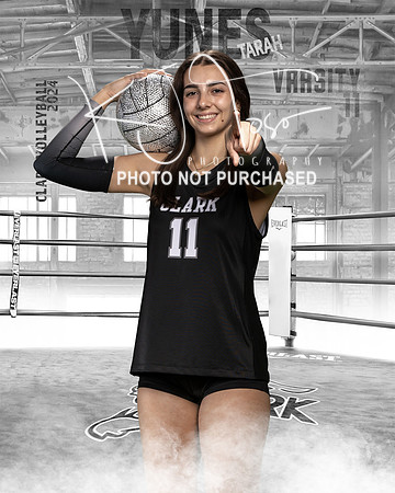 CHS_VAR_VB_IND1-91