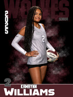 DHS_VB_Var_Ind1-32
