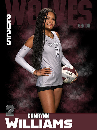 DHS_VB_Var_Ind1-32
