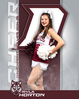 DHS_JV_CH_IND1-16