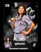DHS_SB_V_Ind1-2