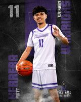 WHS_BB_Var_Ind-57