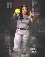 DHS_SB_V_Ind2-110