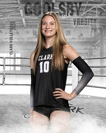 CHS_VAR_VB_IND1-10