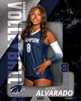 BHS_VB_Var_Ind1-8