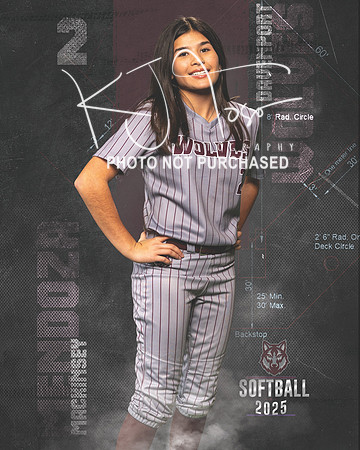 DHS_SB_V_Ind2-19