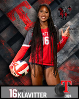 THS_VAR_VB_IND2-82
