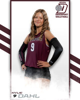 DHS_VAR_VB_IND2-9