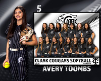 CHS_VSB_MM-6