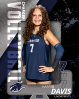7 - Harper Davis