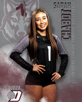 DHS_JV_VB_IND1-13