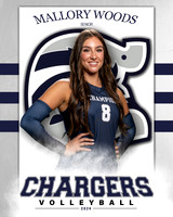 BHS_VAR_VB_IND1-21