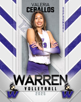 WHS_VB_Var_Ind1-29