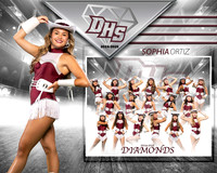 DHS_DIA_MM-11
