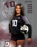 DHS_JV_VB_IND1-46