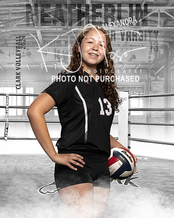 CHS_JV_VB_IND1-42