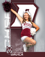 DHS_JV_CH_IND1-44