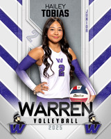 WHS_VB_Var_Ind1-36