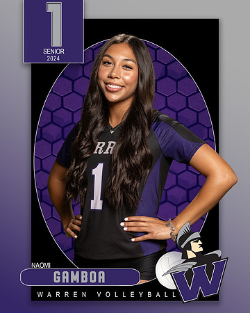 WHS_VAR_VB_IND1-1