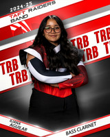 THSB_BC_IND1-09