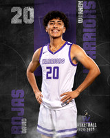 WHS_BB_Var_Ind-7
