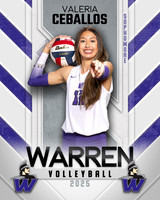 WHS_VB_Var_Ind1-80