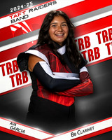 THSB_BBC_IND1-30