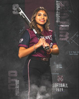 DHS_SB_JV_Ind2-37