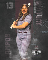 DHS_SB_V_Ind2-96