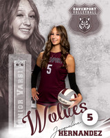 DHS_VB_JV_Ind2-21