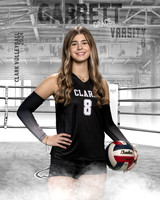 CHS_VAR_VB_IND1-48