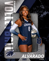 BHS_VB_Var_Ind1-38
